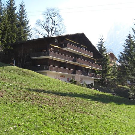 Superior Apartment 100M2 Bodmisonne - Grindelwald Bagian luar foto