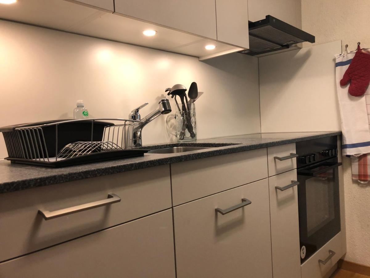 Superior Apartment 100M2 Bodmisonne - Grindelwald Bagian luar foto