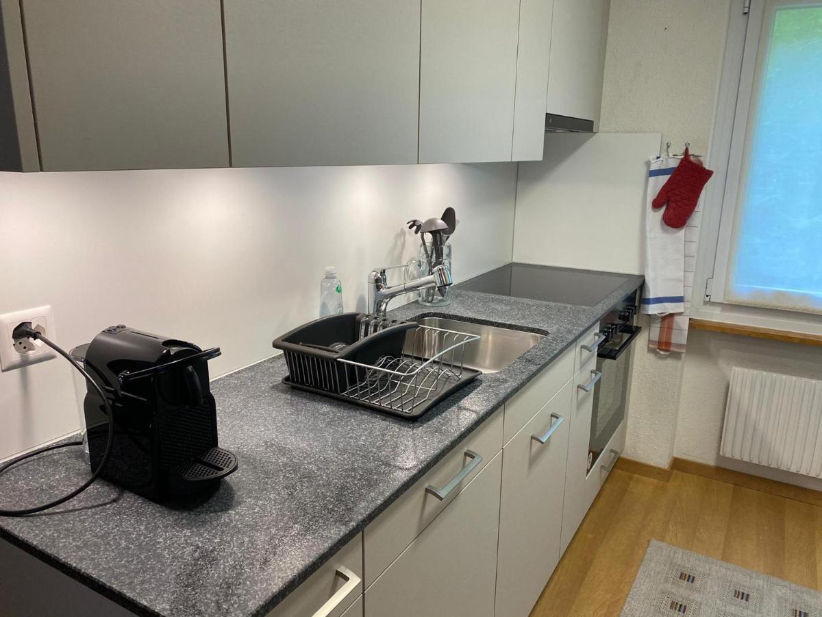 Superior Apartment 100M2 Bodmisonne - Grindelwald Bagian luar foto
