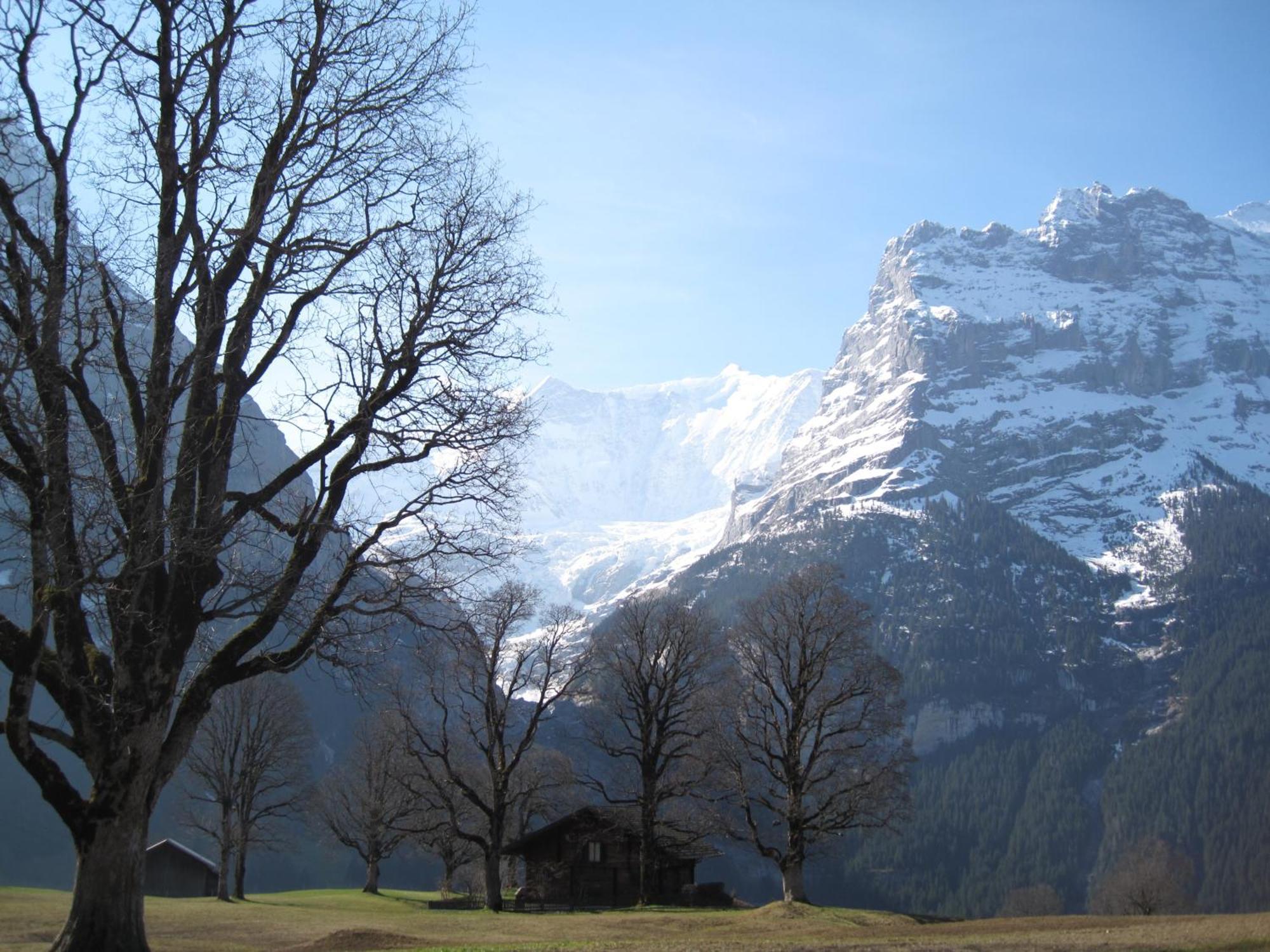 Superior Apartment 100M2 Bodmisonne - Grindelwald Bagian luar foto