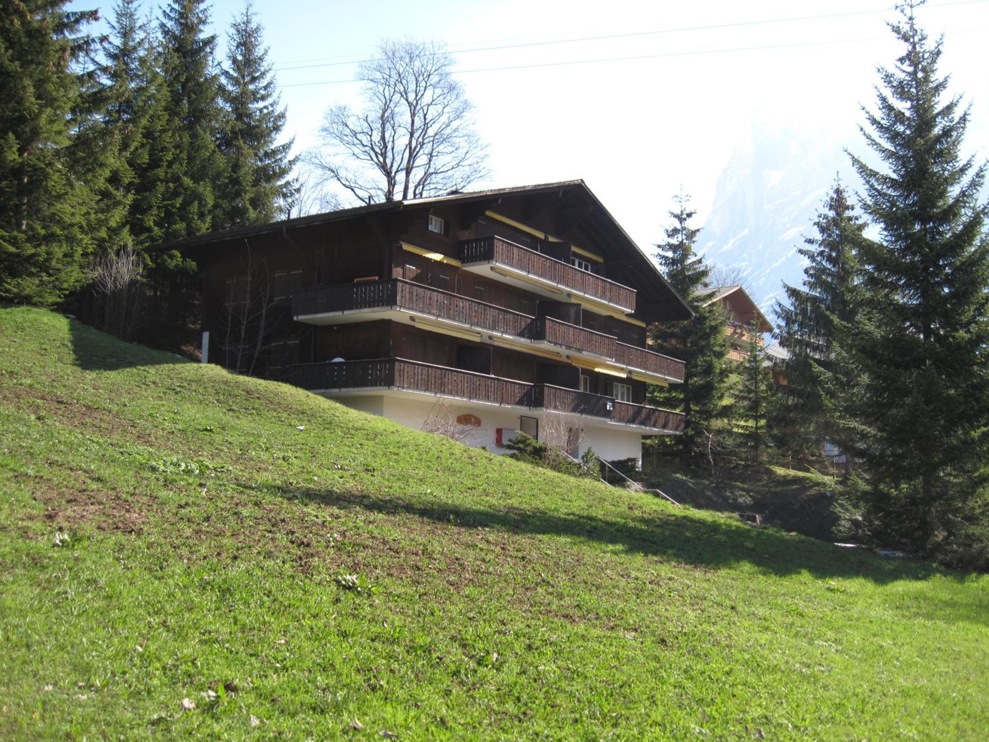 Superior Apartment 100M2 Bodmisonne - Grindelwald Bagian luar foto