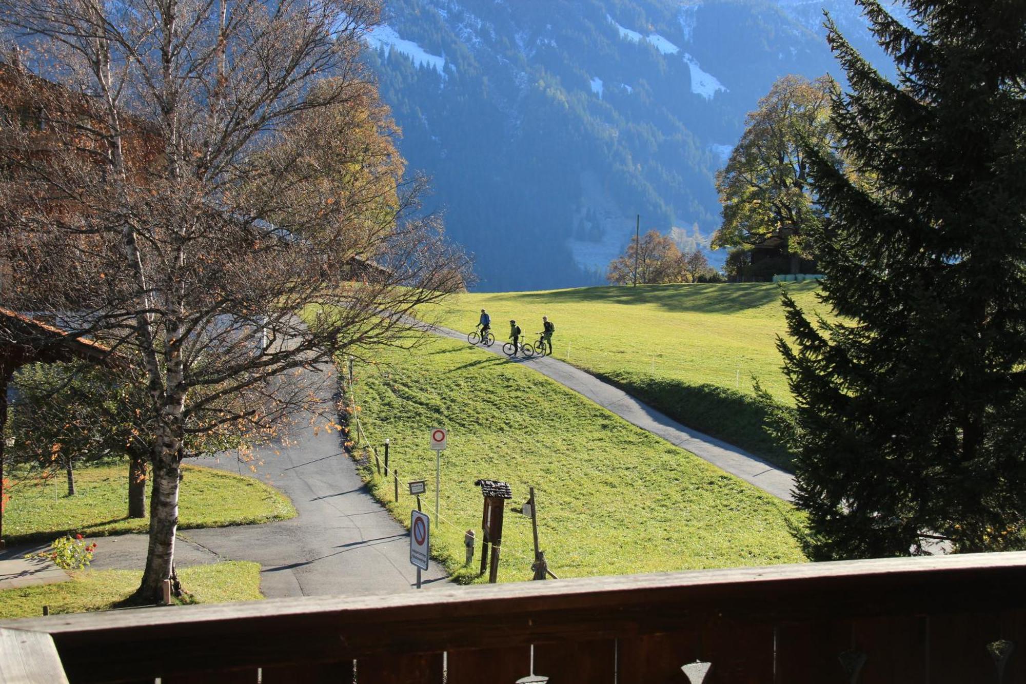 Superior Apartment 100M2 Bodmisonne - Grindelwald Bagian luar foto